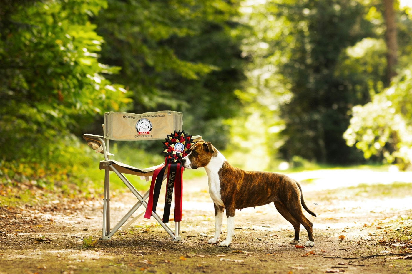 CH. Utah hill's new age Maker's New Step