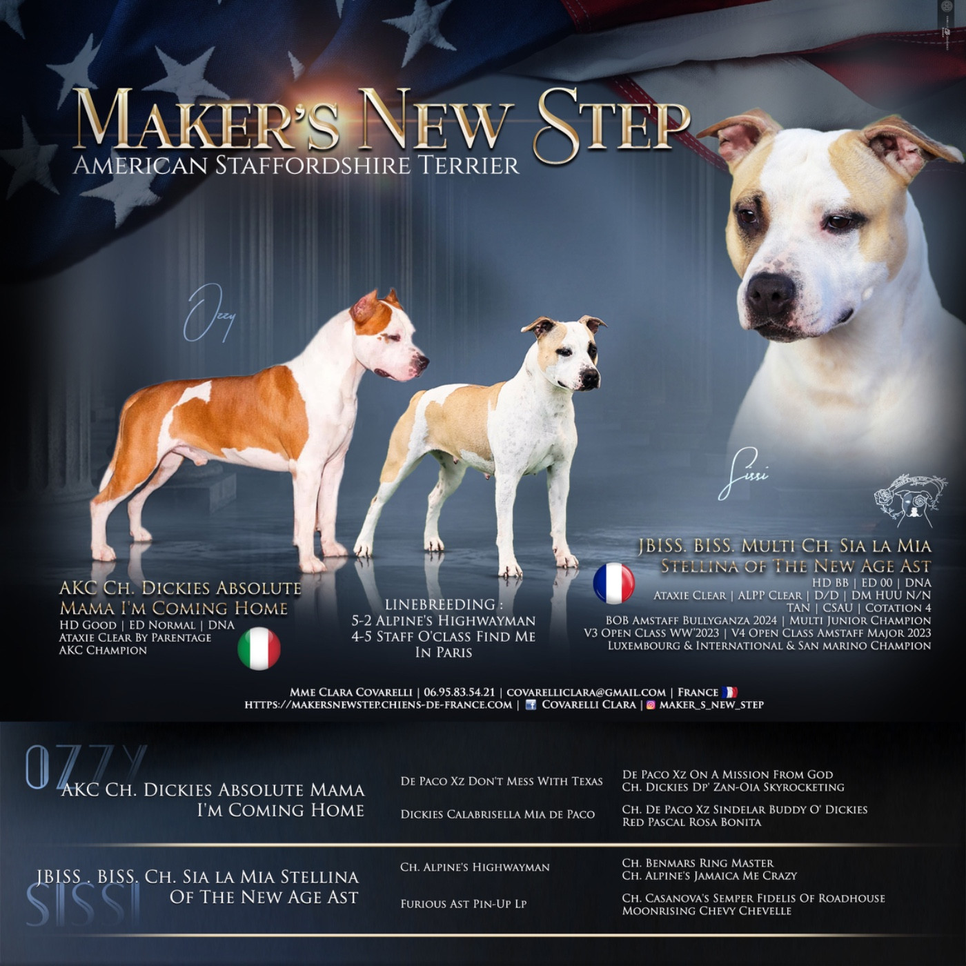 Maker's New Step - American Staffordshire Terrier - Portée née le 22/04/2026